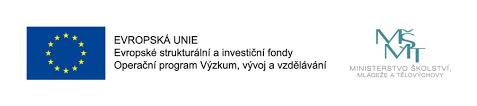 evropská unie